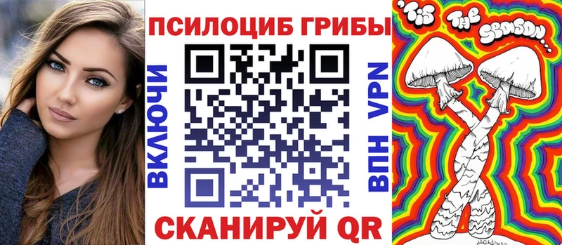 Галлюциногенные грибы Cubensis  где можно купить наркотик  Пудож 